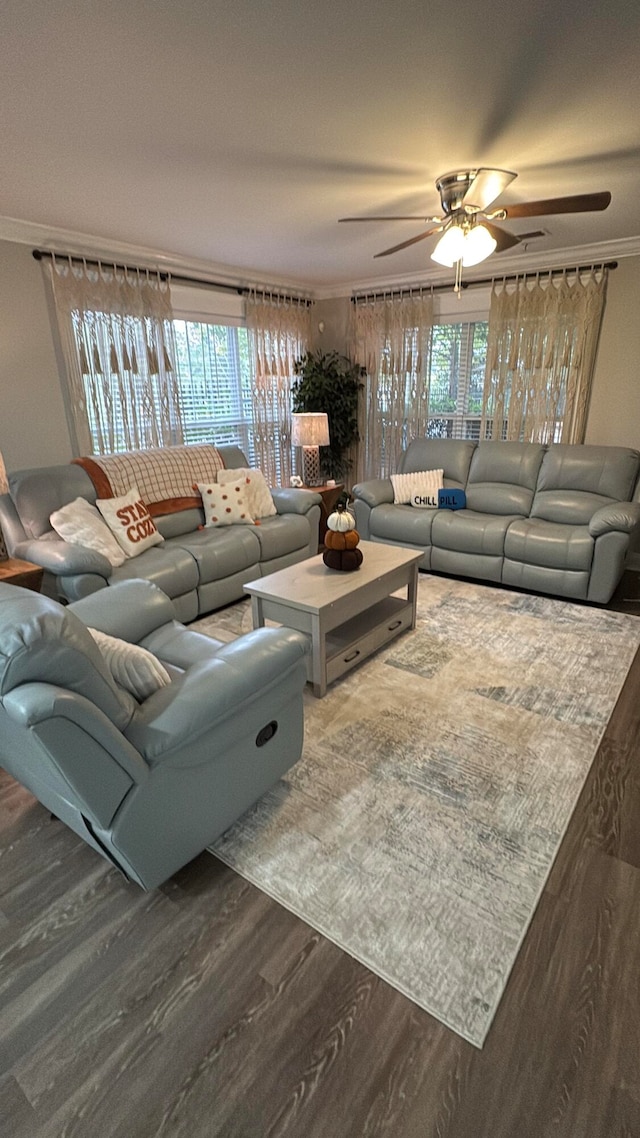 living room with ornamental molding, dark hardwood / wood-style floors, and ceiling fan