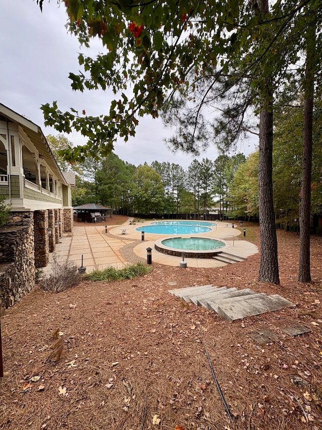 view of swimming pool with a patio