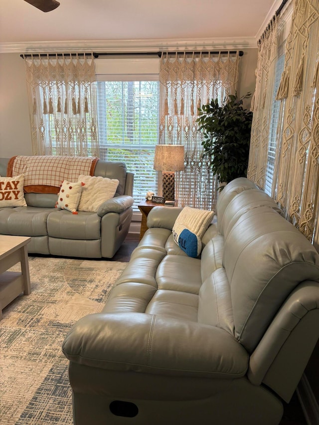 living room featuring crown molding