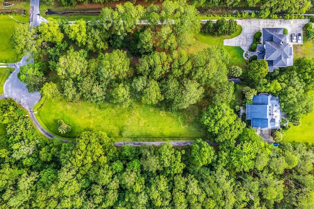 2287 Shoreline Dr, Johns Island, SC 29455 - aerial view