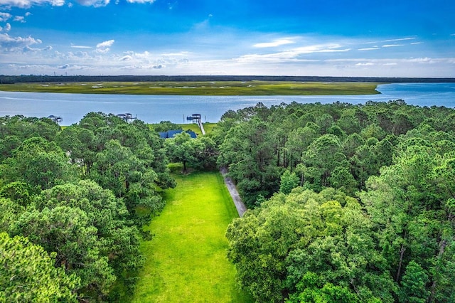 2287 Shoreline Dr, Johns Island, SC 29455 - aerial view of a nearby body of water and a forest