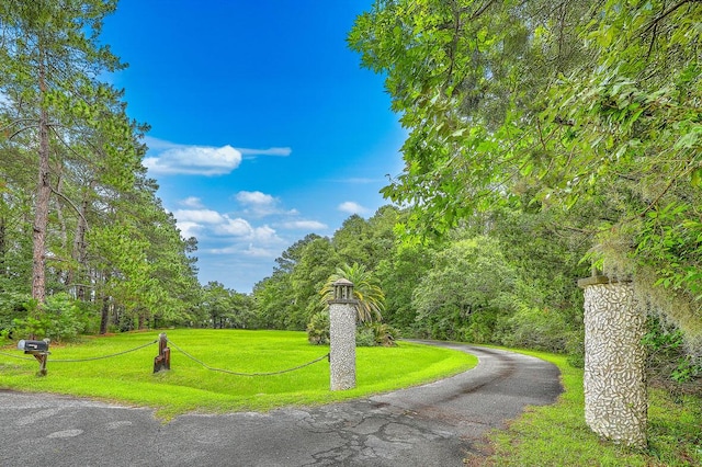 2287 Shoreline Dr, Johns Island, SC 29455 - view of property's community with a yard and a forest view