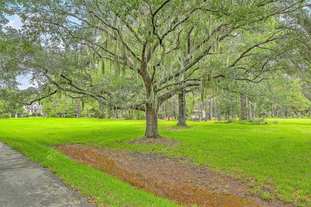 2287 Shoreline Dr, Johns Island, SC 29455 - view of grassy yard