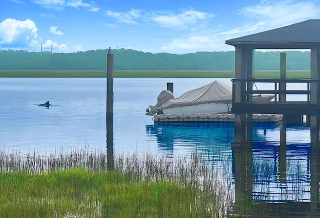 2287 Shoreline Dr, Johns Island, SC 29455 - water view
