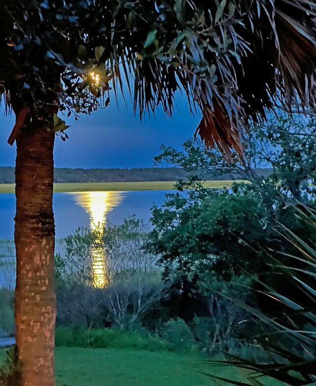 2287 Shoreline Dr, Johns Island, SC 29455 - water view