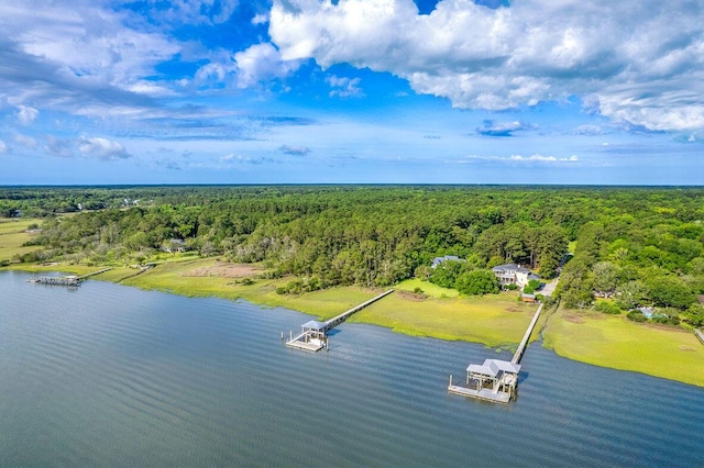 2287 Shoreline Dr, Johns Island, SC 29455 - bird's eye view of a large body of water