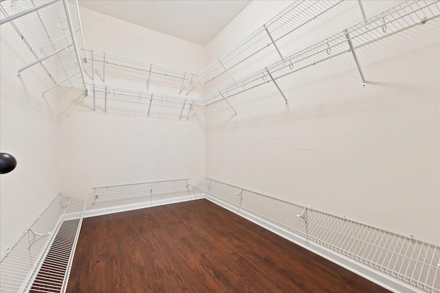 spacious closet featuring hardwood / wood-style flooring