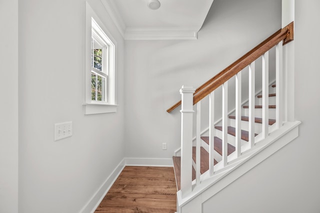 stairs with crown molding and hardwood / wood-style floors