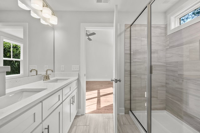 bathroom featuring vanity, a shower with door, and a healthy amount of sunlight