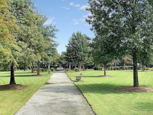 view of property's community with a yard