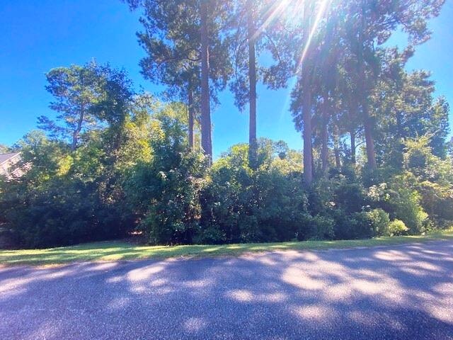 0 Chapel Creek Dr, Santee SC, 29142 land for sale