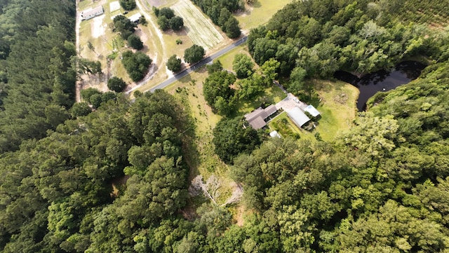 1613 Cavanaugh Rd, Walterboro, SC 29488 - aerial view of property's location featuring property parcel outlined and a forest