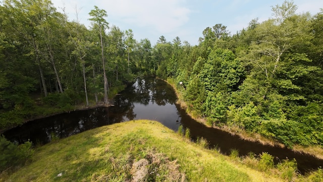 1613 Cavanaugh Rd, Walterboro, SC 29488 - water view featuring a forest