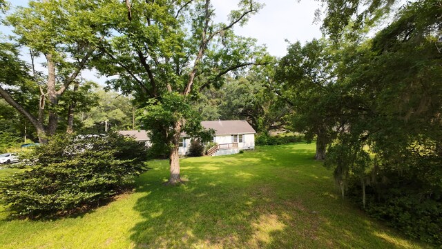 1613 Cavanaugh Rd, Walterboro, SC 29488 - view of grassy yard
