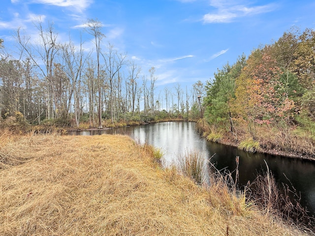 1613 Cavanaugh Rd, Walterboro, SC 29488 - water view