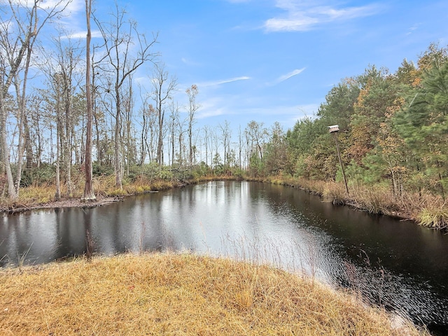 1613 Cavanaugh Rd, Walterboro, SC 29488 - water view