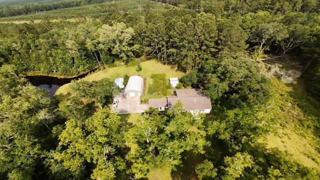 1613 Cavanaugh Rd, Walterboro, SC 29488 - aerial view of a forest and a large body of water