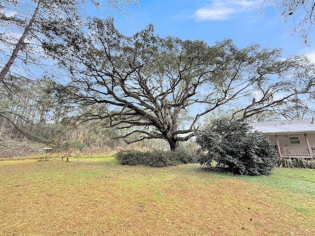 1613 Cavanaugh Rd, Walterboro, SC 29488 - view of grassy yard
