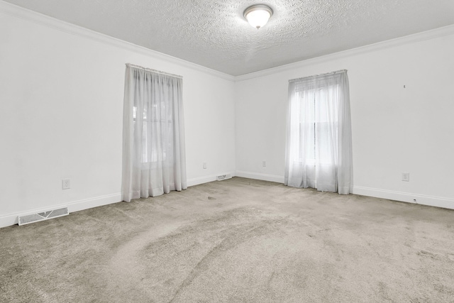 1613 Cavanaugh Rd, Walterboro, SC 29488 - spare room with crown molding, a textured ceiling, and carpet