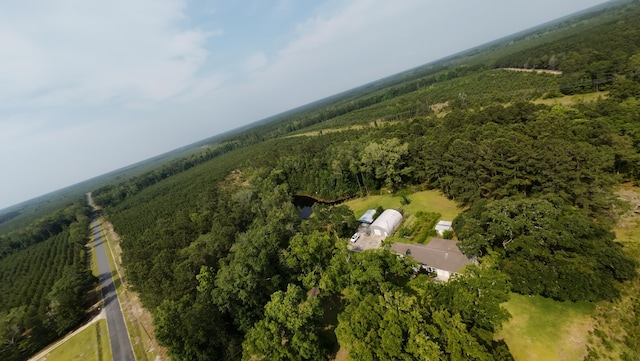 1613 Cavanaugh Rd, Walterboro, SC 29488 - aerial view of property's location featuring a heavily wooded area