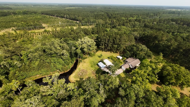 1613 Cavanaugh Rd, Walterboro, SC 29488 - aerial view of property's location featuring a heavily wooded area and rural landscape