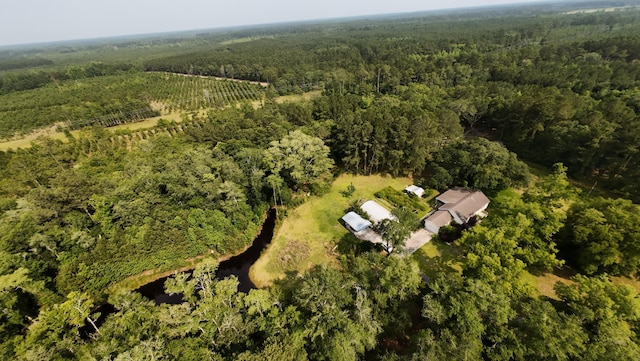 1613 Cavanaugh Rd, Walterboro, SC 29488 - aerial overview of property's location featuring a forest and rural landscape