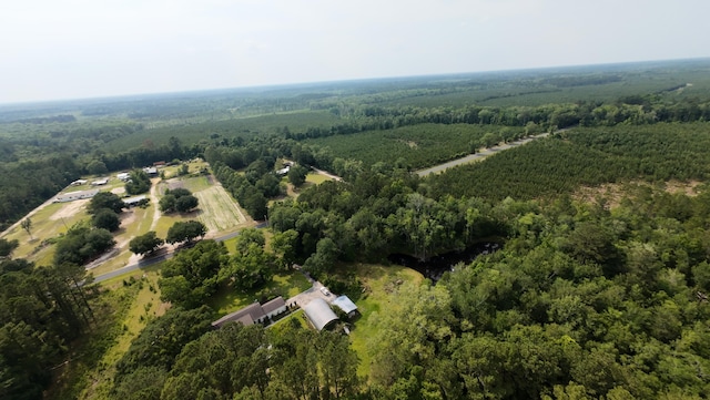 1613 Cavanaugh Rd, Walterboro, SC 29488 - aerial view of property and surrounding area with a forest