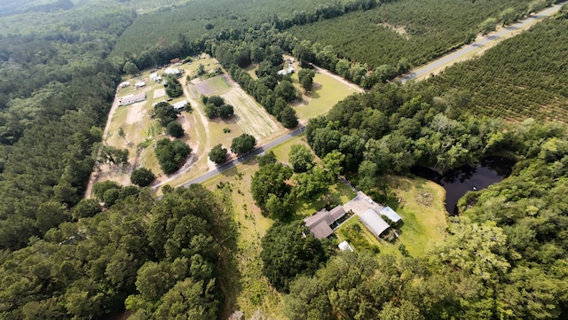 1613 Cavanaugh Rd, Walterboro, SC 29488 - aerial view of property's location with a heavily wooded area