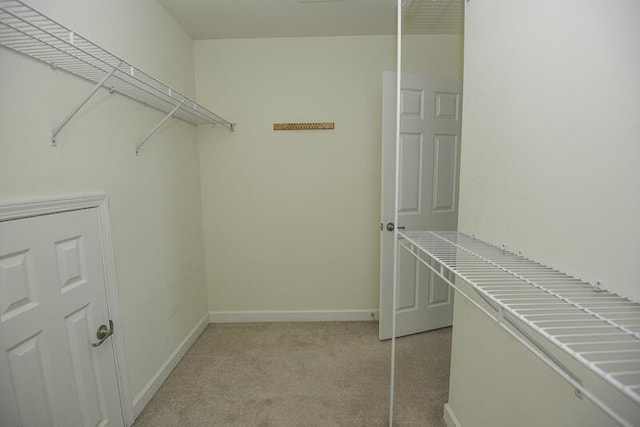 walk in closet featuring light carpet