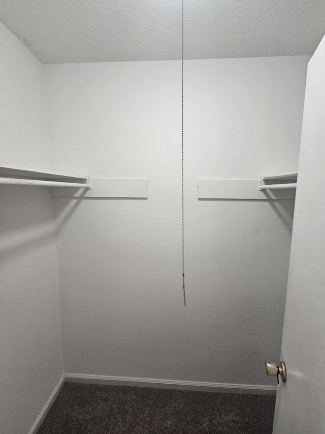 2494 Etiwan Ave Unit 9-D, Charleston, SC 29414 - walk in closet with carpet flooring