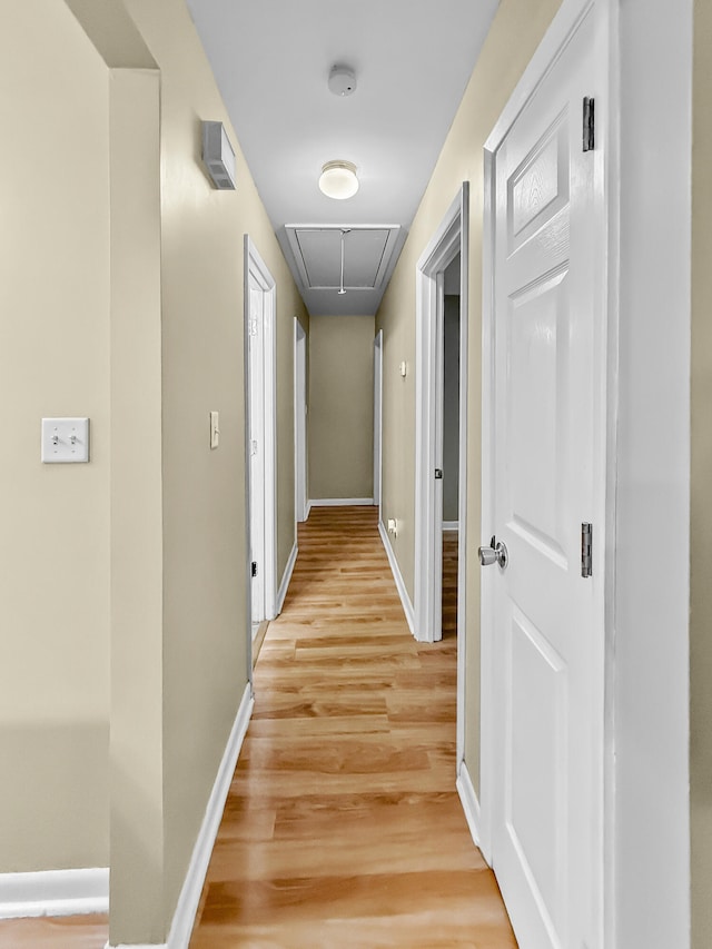 hall with hardwood / wood-style flooring