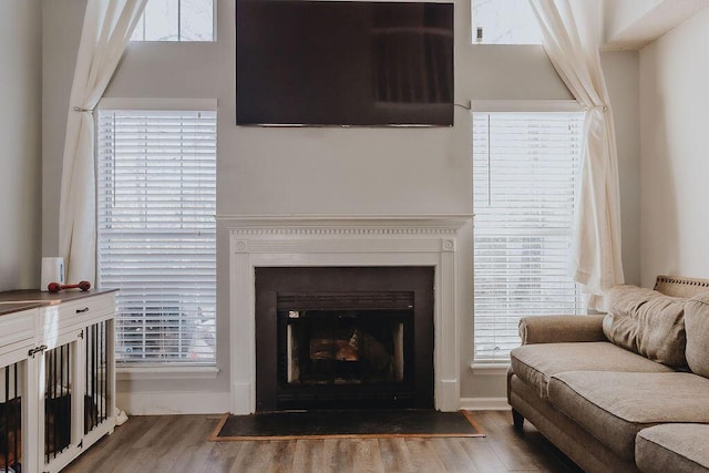 living room featuring hardwood / wood-style flooring