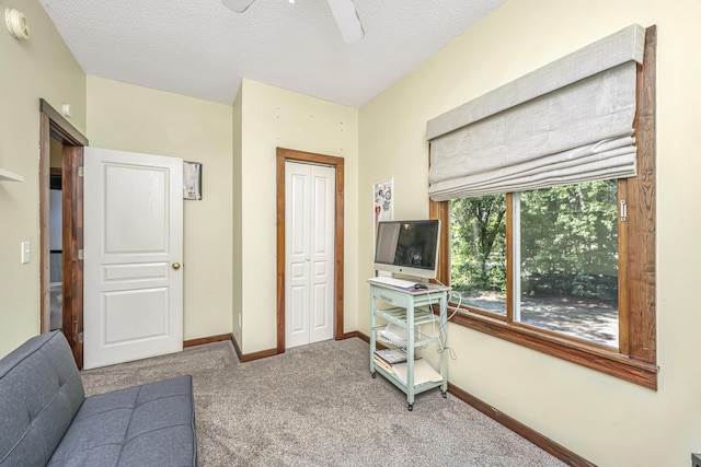 2468 Marina Rd, Wadmalaw Island, SC 29487 - office featuring carpet flooring, a ceiling fan, baseboards, and a textured ceiling