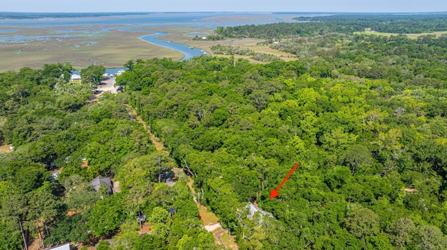 2468 Marina Rd, Wadmalaw Island, SC 29487 - aerial view of property and surrounding area with a forest