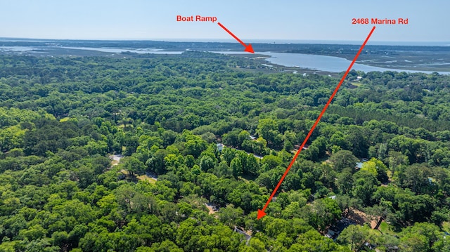 2468 Marina Rd, Wadmalaw Island, SC 29487 - drone / aerial view of a forest and a nearby body of water