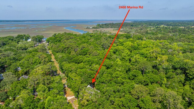 2468 Marina Rd, Wadmalaw Island, SC 29487 - drone / aerial view of a forest