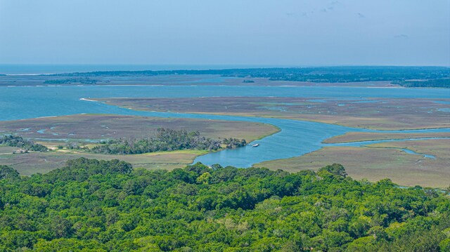 2468 Marina Rd, Wadmalaw Island, SC 29487 - aerial view of a large body of water and a heavily wooded area