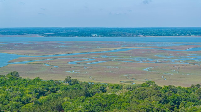 2468 Marina Rd, Wadmalaw Island, SC 29487 - bird's eye view of a forest