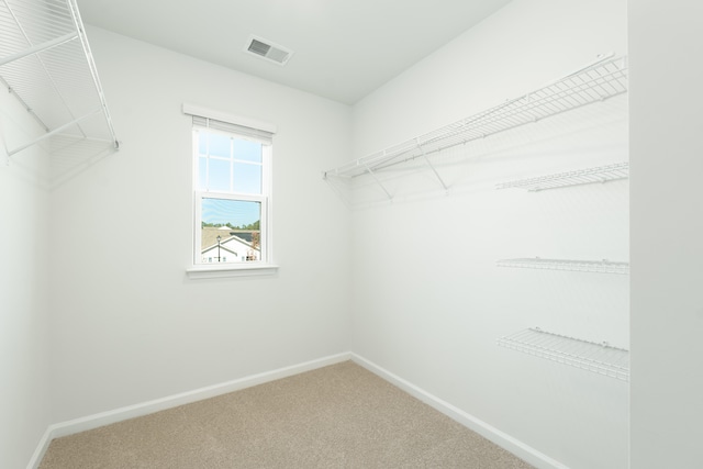 spacious closet featuring carpet flooring