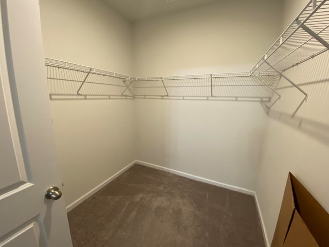 walk in closet featuring dark carpet