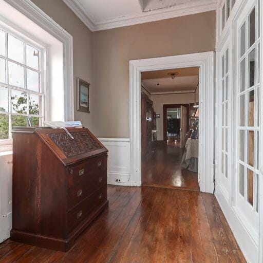 81 Rutledge Ave, Charleston, SC 29401 - corridor with crown molding, dark wood finished floors, and wainscoting