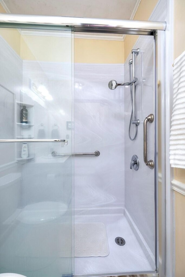 bathroom featuring a shower with door