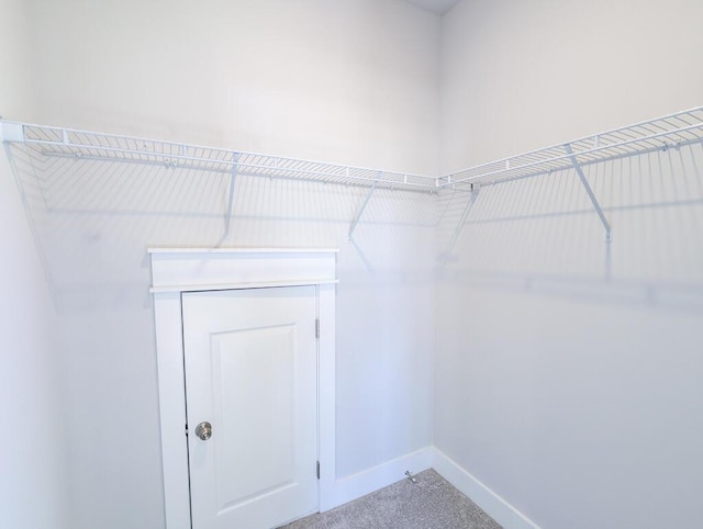 444 Parish Farms Dr, Summerville, SC 29486 - walk in closet featuring carpet
