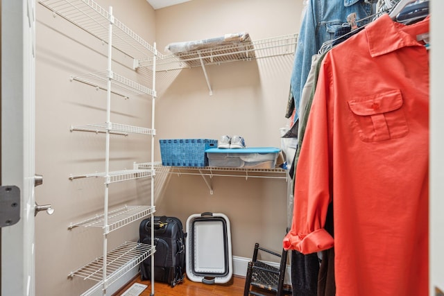 walk in closet featuring wood finished floors