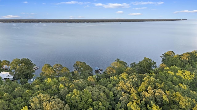359 Green St, Santee, SC 29142 - water view featuring a heavily wooded area