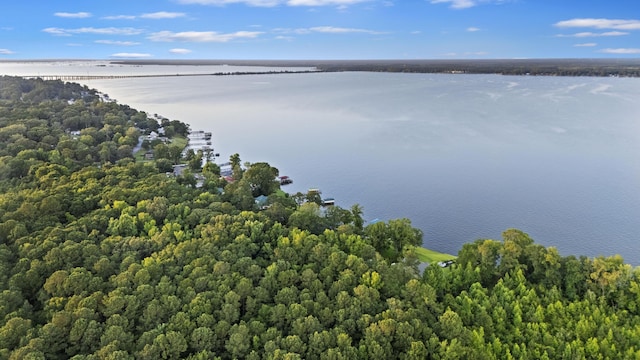 359 Green St, Santee, SC 29142 - bird's eye view of a large body of water