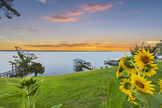 359 Green St, Santee, SC 29142 - dock area with a water view, boat lift, and a yard