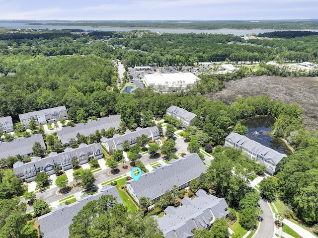 132 Fresh Meadow Ln, Mount Pleasant, SC 29466 - aerial view of property's location with a heavily wooded area and a large body of water