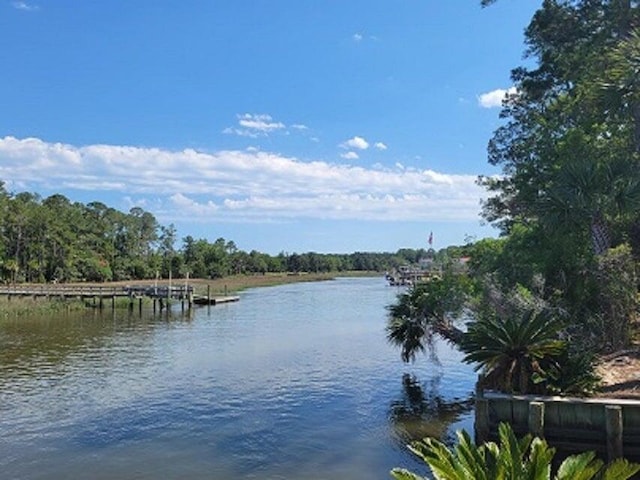 132 Fresh Meadow Ln, Mount Pleasant, SC 29466 - water view featuring a dock