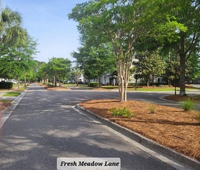 132 Fresh Meadow Ln, Mount Pleasant, SC 29466 - view of asphalt street featuring curbs